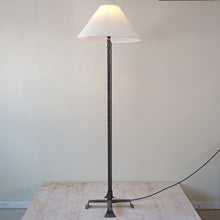 French Metal Floor Lamp