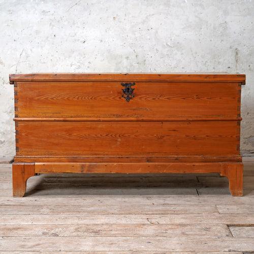 Antique large Spanish Pine Trunk